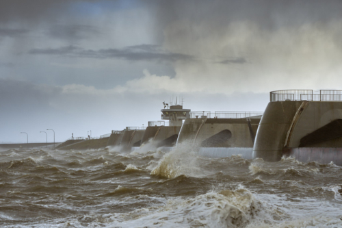 20200210 151057 MH a7MKII 1