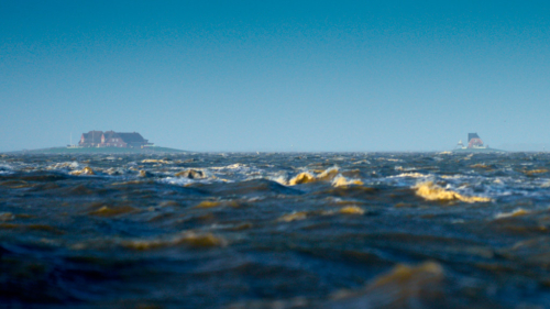 20200217 093944 MH a7RMKII 1