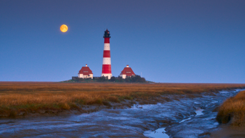 20200407 062803 MH a7RMKII 1