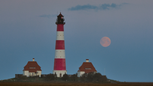 20200407 064144 MH a7RMKII 1