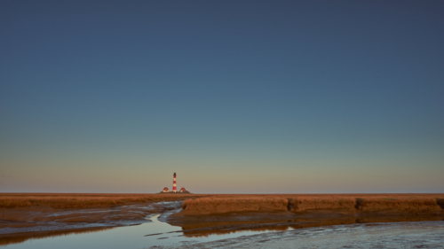 20200407 070651 MH a7MKII 1