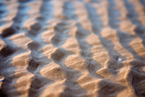 20200501 202756 MH a7MKII