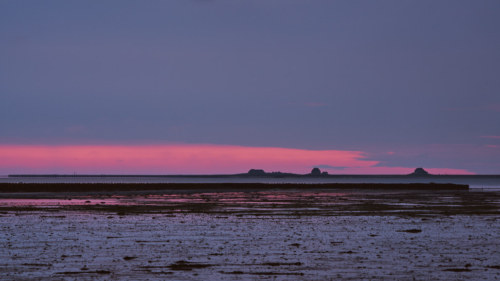 20200627 223757 MH a7RMKII