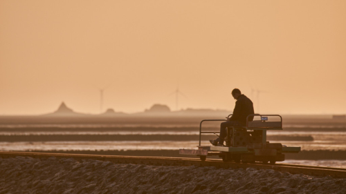 20200914 184641 MH a7RMKII