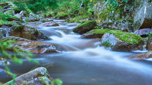 20201008 135250 MH A7II