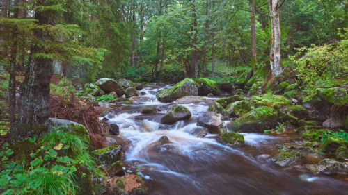 20201008 135858 MH A7RII