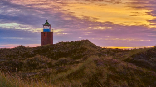 20201114 084543 MH a7RMKII