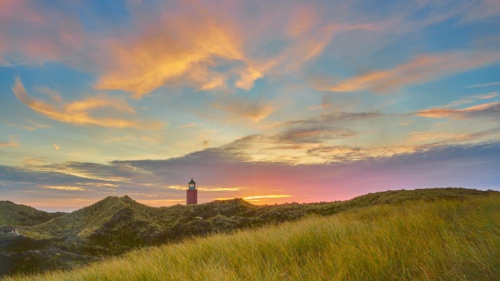 20201114 090829 MH a7MKII