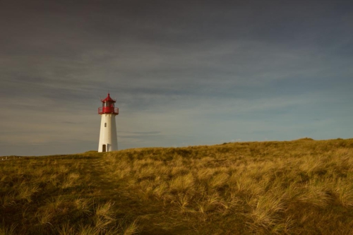 20201114 105050 MH a7MKII