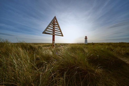 20201114 110334 MH a7RMKII